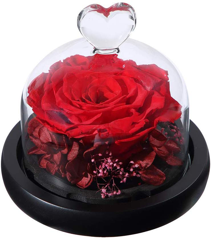 Thumbnail: FOREVER WISH GRANTING ROSE