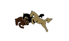 Dressage/ Equestrian/ Equestrians/ Stable/ Adult Amatuer/ Boarding/trainers/Equestrian style/ equestrian life
