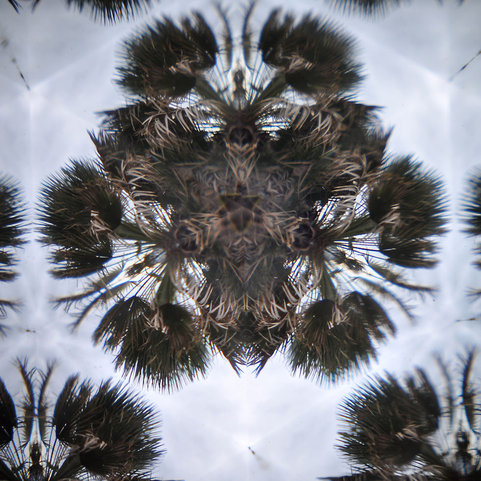 Kaleidoscope 3