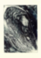 blackbird iiii monotype