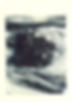 wave i.jpg