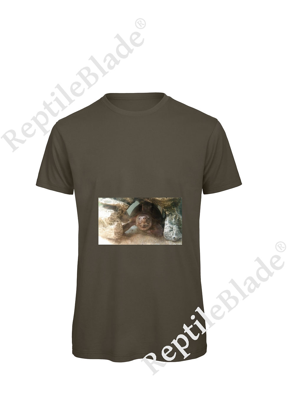 Thumbnail: T-shirt homme "Lilo tortues"