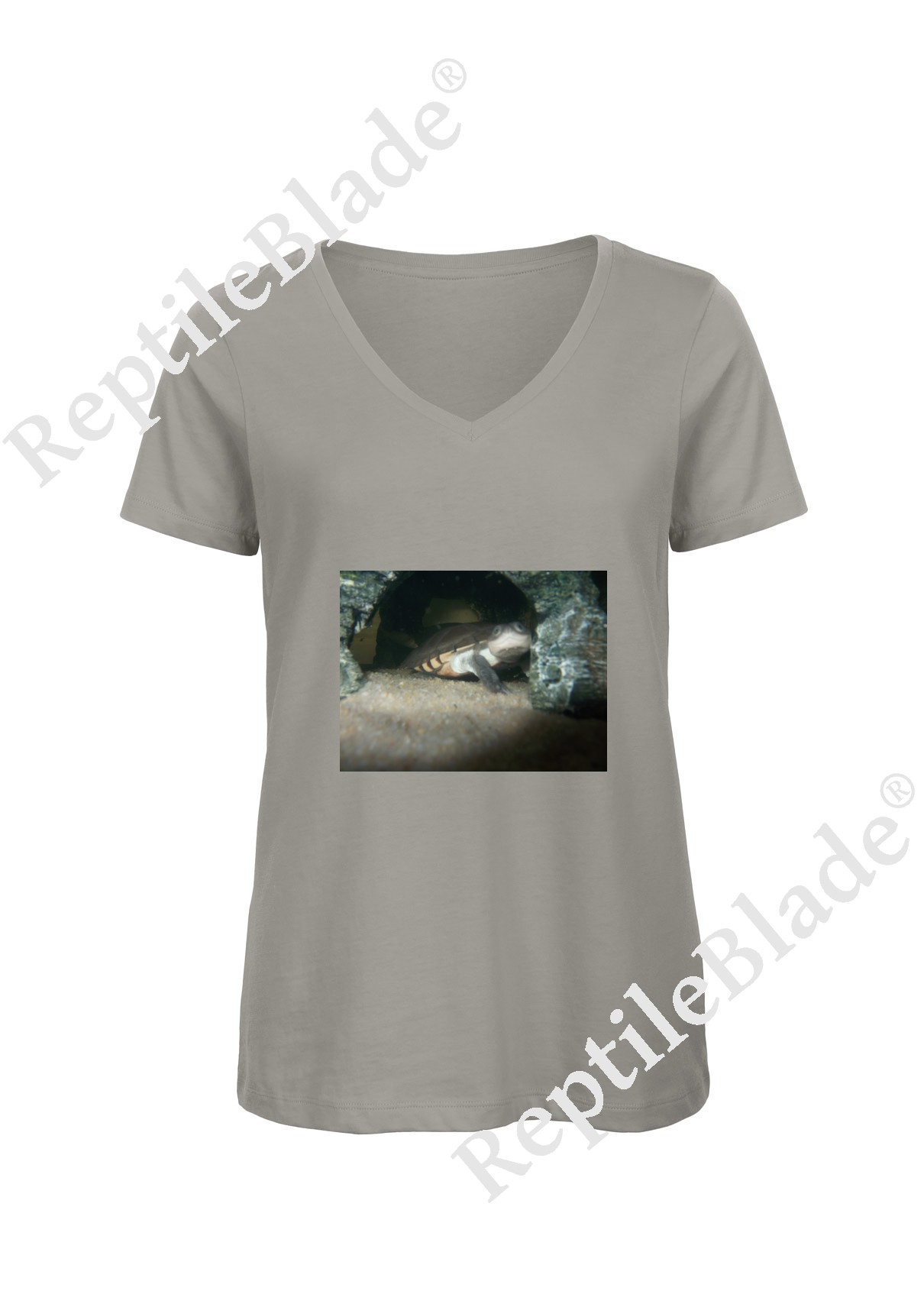 T-shirt femme col v "Lilo tortues"