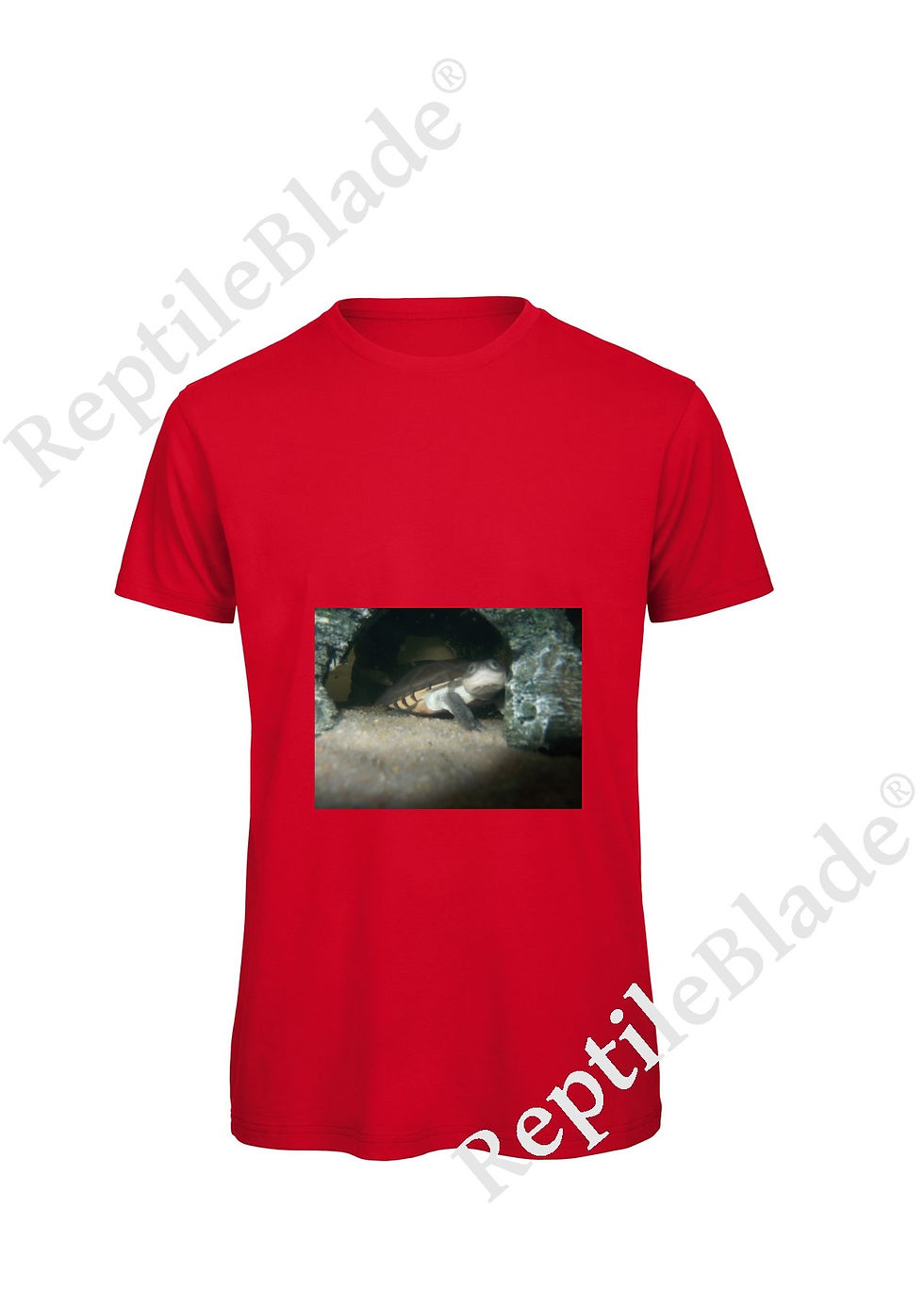 섬네일: T-shirt homme "Lilo tortues"