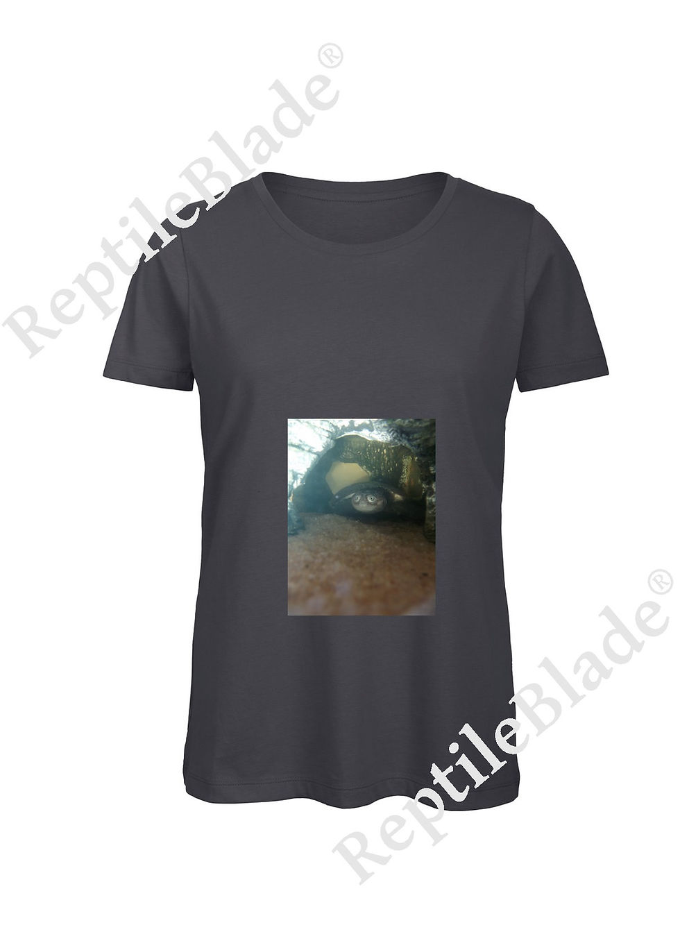 Thumbnail: T-shirt femme "Lilo tortues"