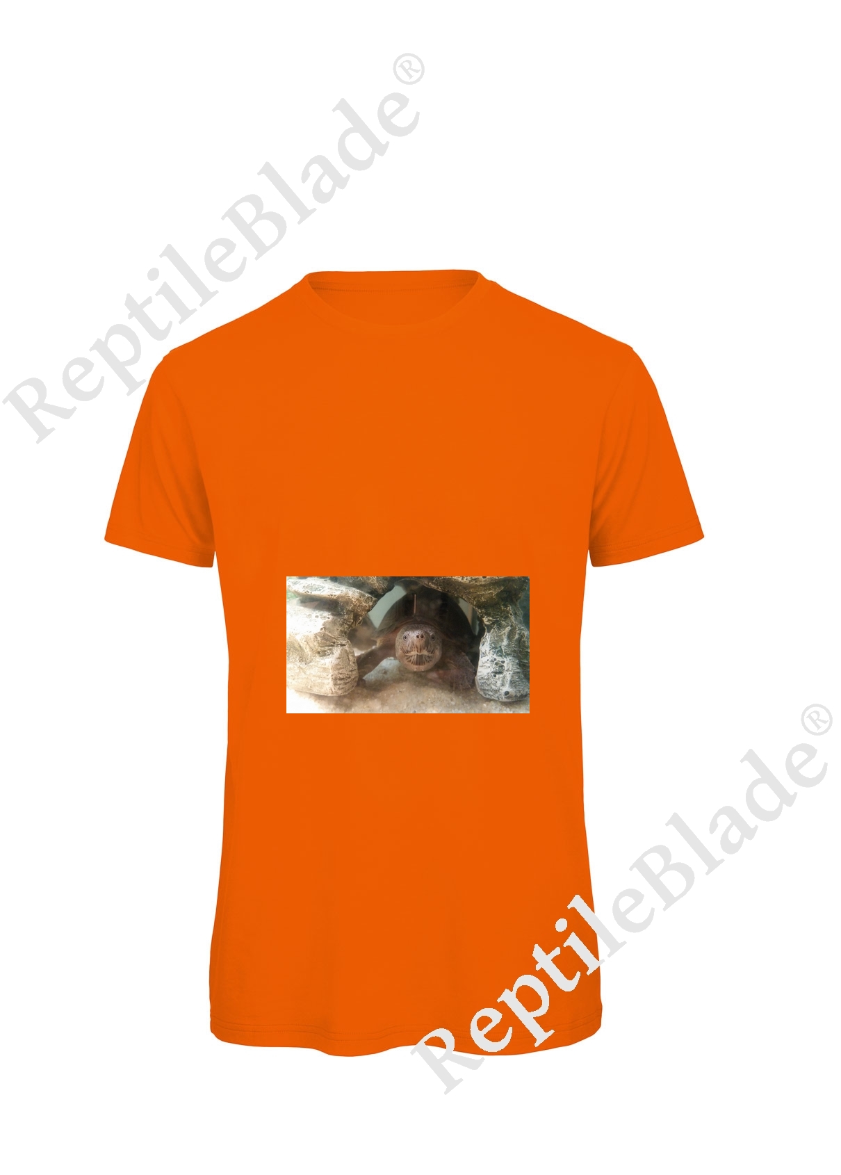 Miniature T-shirt homme "Lilo tortues"