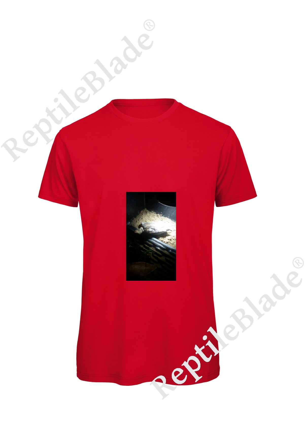 Miniature T-shirt homme "Lilo tortues"