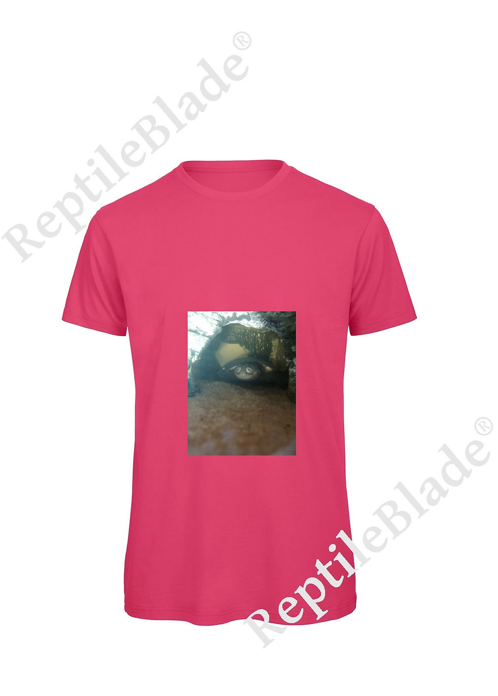 Miniatura: T-shirt homme "Lilo tortues"