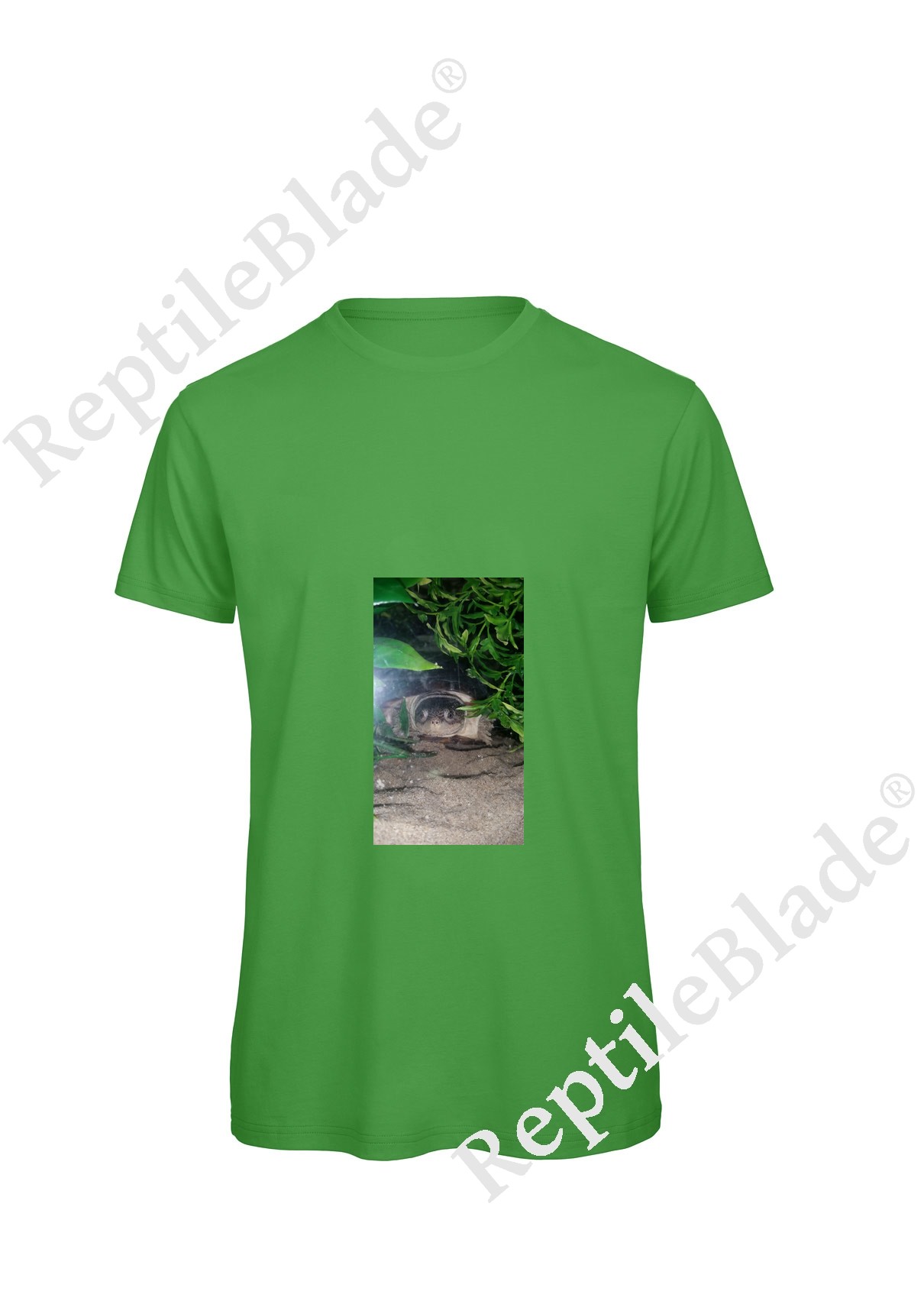 T-shirt homme "Lilo tortues"