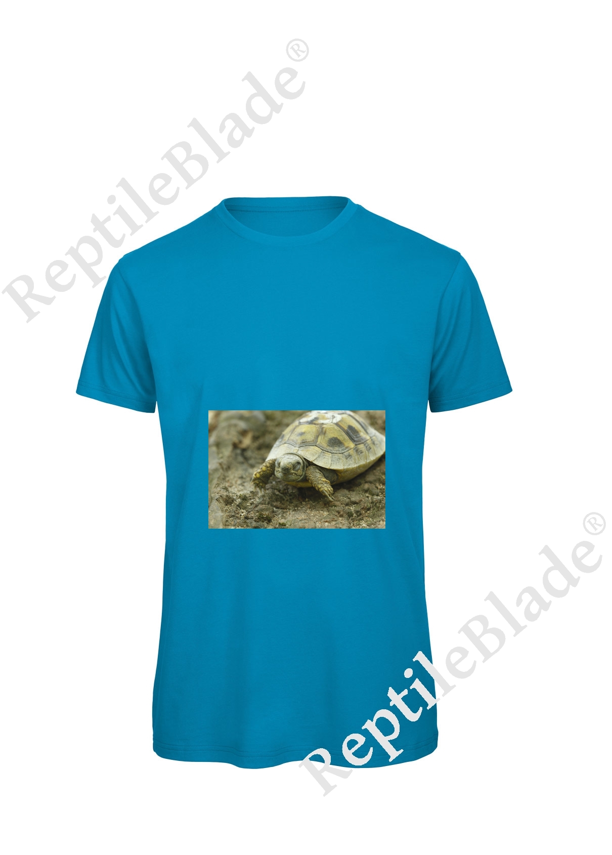 Miniature T-shirt homme "Lilo Tortues"