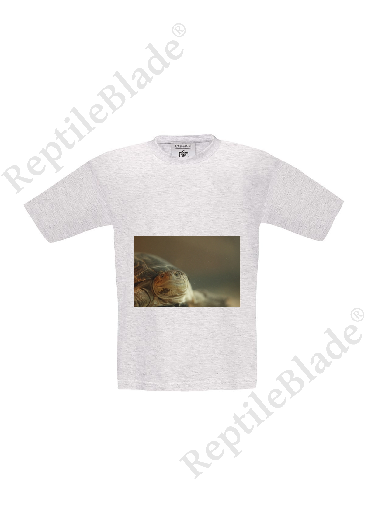 Miniature T-shirt enfant "Lilo tortues"