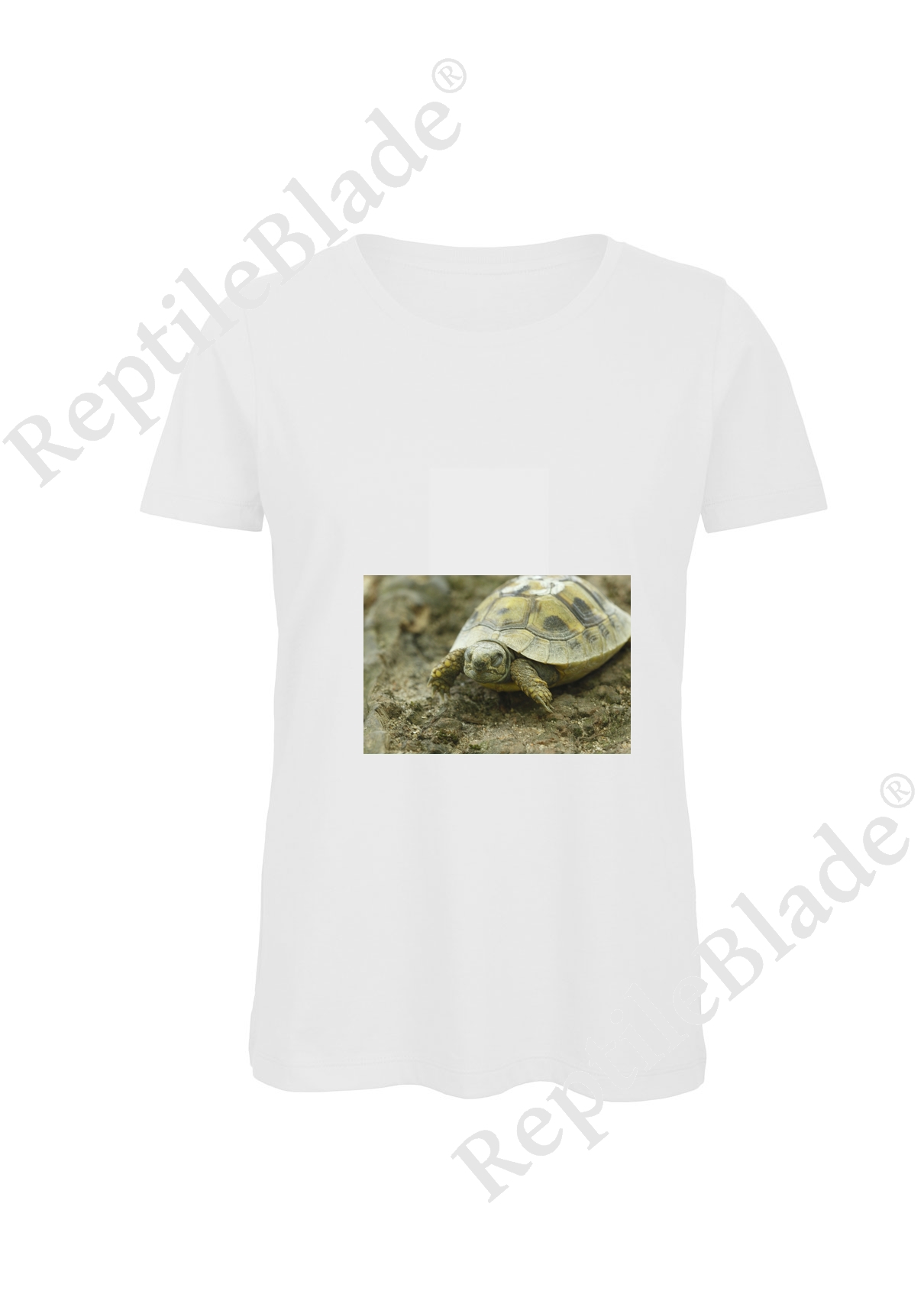 T-shirt femme "Lilo tortues"