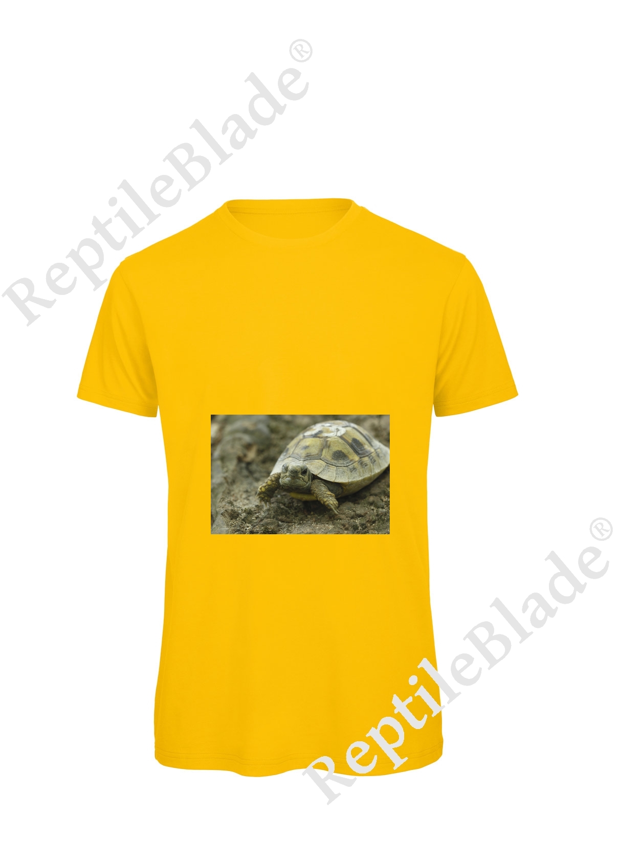 Miniature T-shirt homme "Lilo tortues"