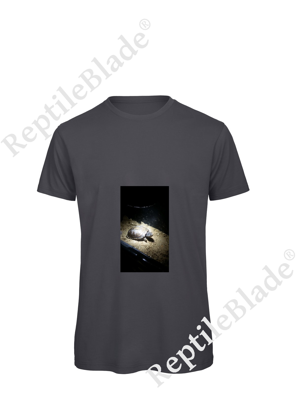 Miniature T-shirt homme "Lilo tortues"