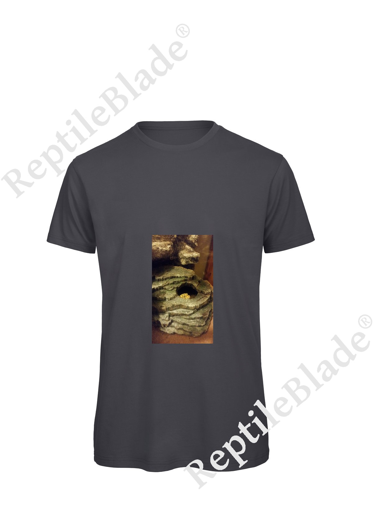 Miniature T-shirt homme "Lilo tortues"