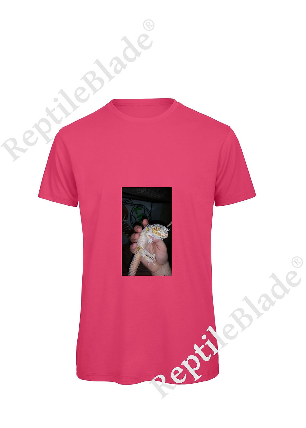الصورة المصغرة: T-shirt homme "Lilo tortues"