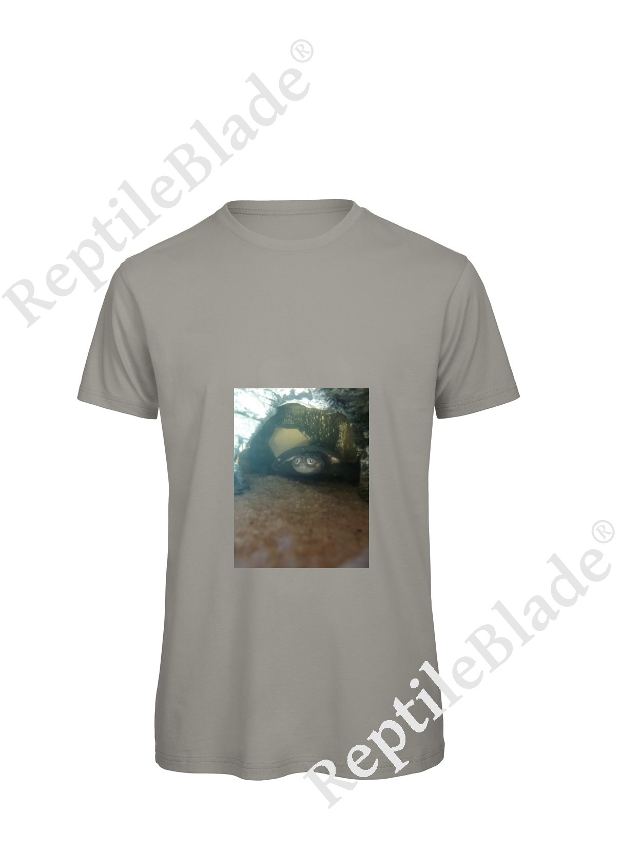 Miniature T-shirt homme "Lilo tortues"