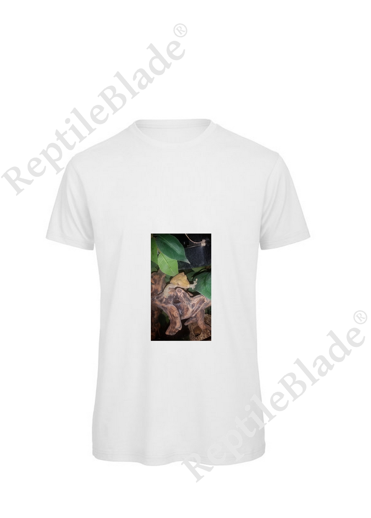 Miniature T-shirt homme "Lilo tortues"