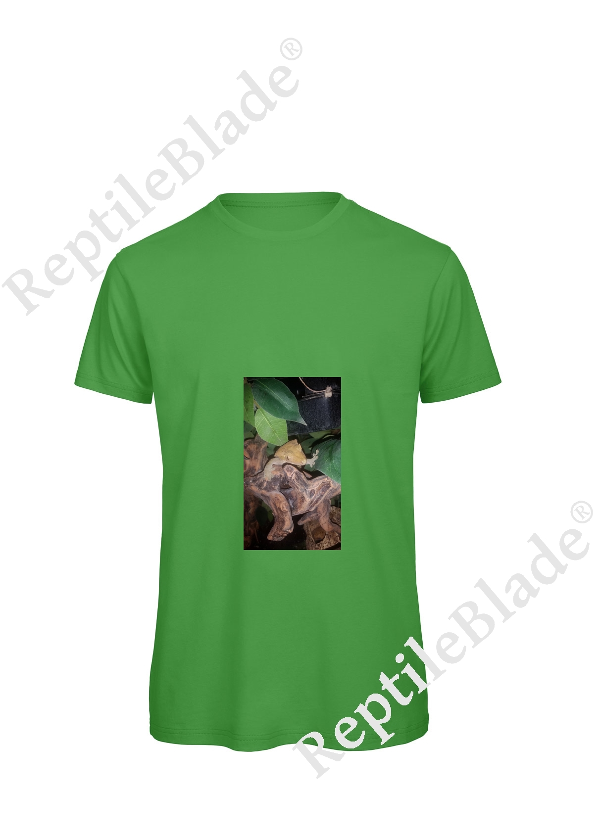 T-shirt homme "Lilo tortues"