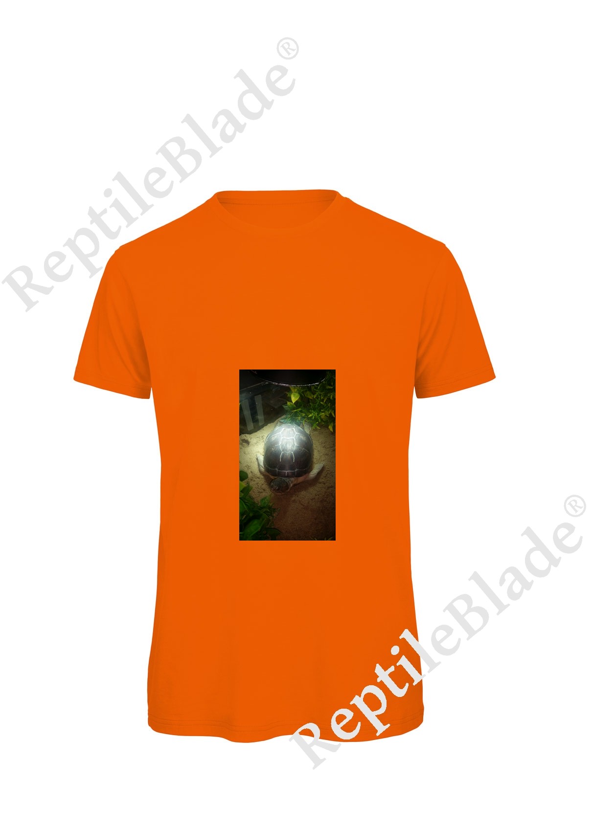 Miniature T-shirt homme "Lilo tortues"