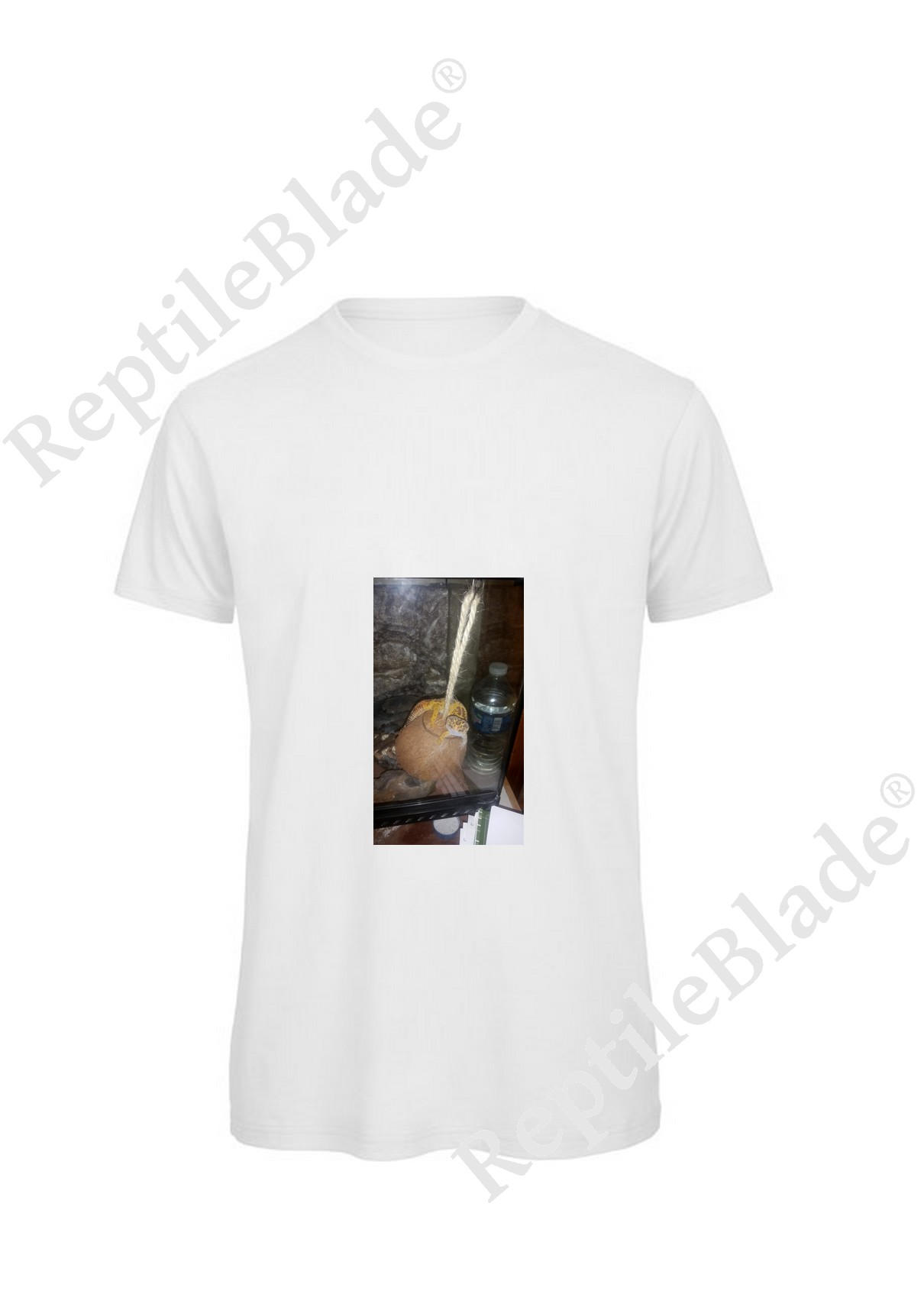 Miniature T-shirt homme "Lilo tortues"