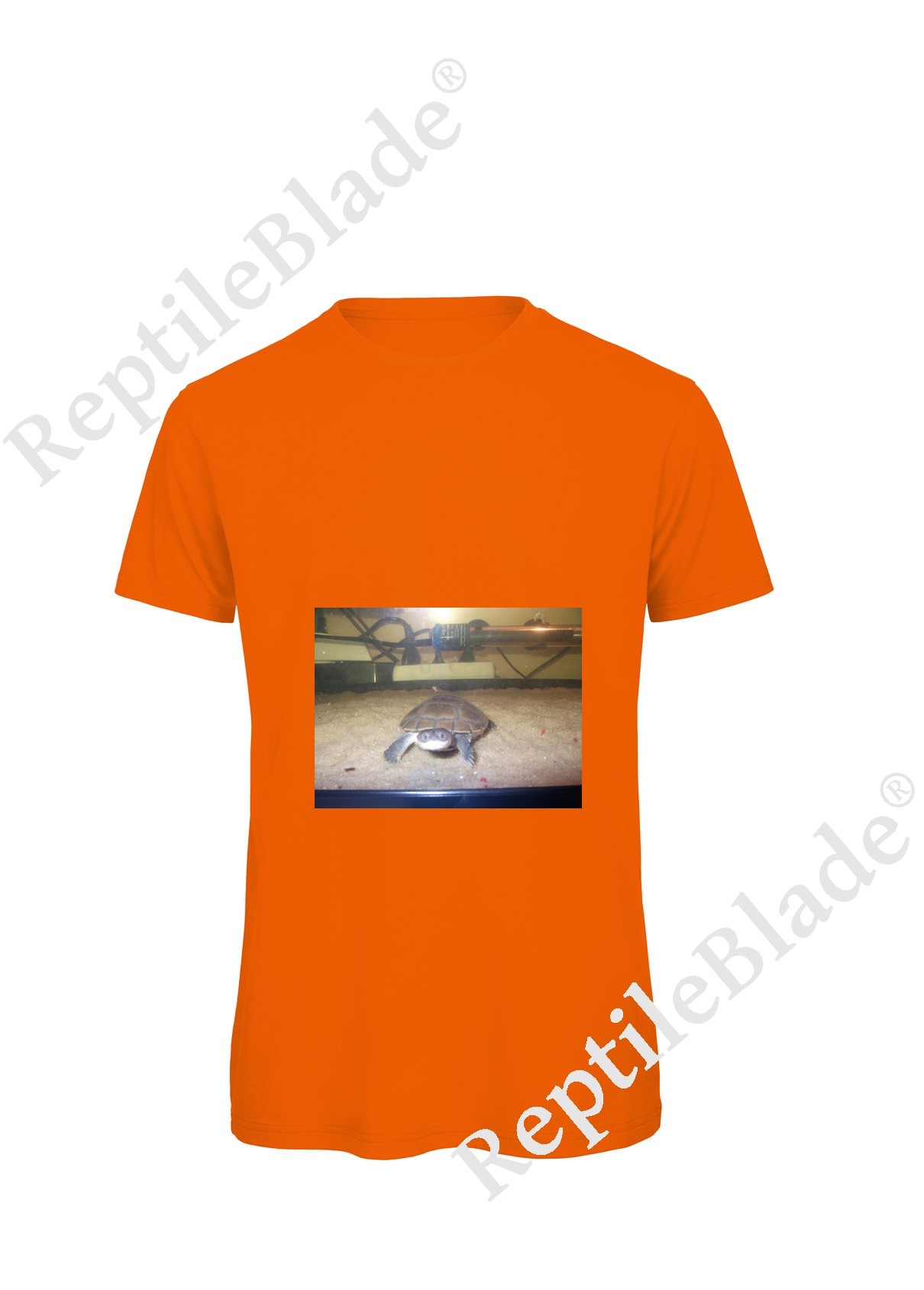 Miniature T-shirt homme "Lilo tortues"
