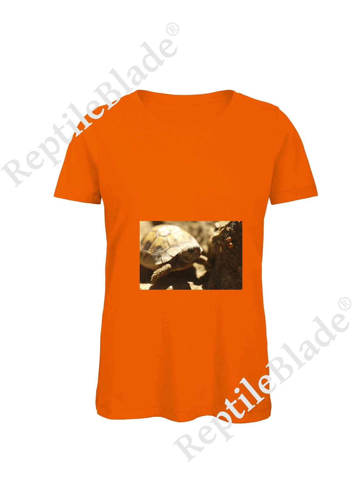 Miniature T-shirt femme "Lilo tortues"
