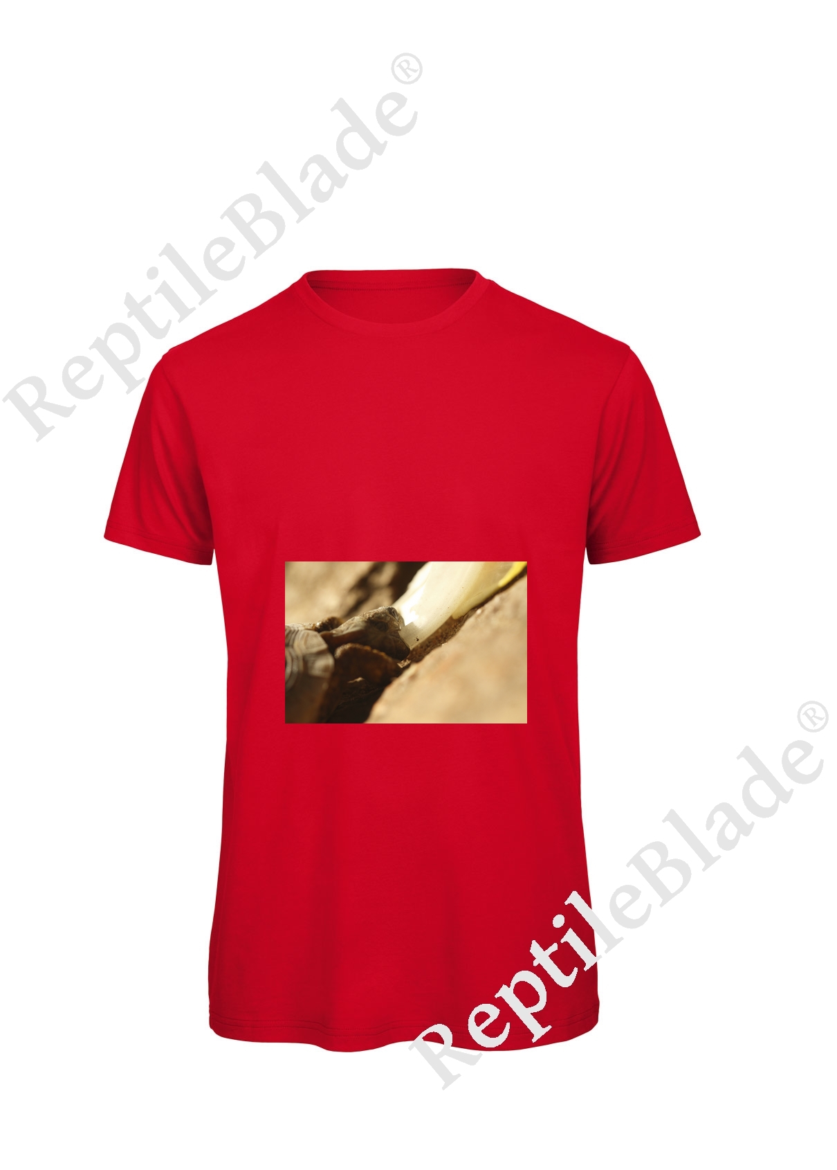 Miniature T-shirt homme "Lilo tortues"