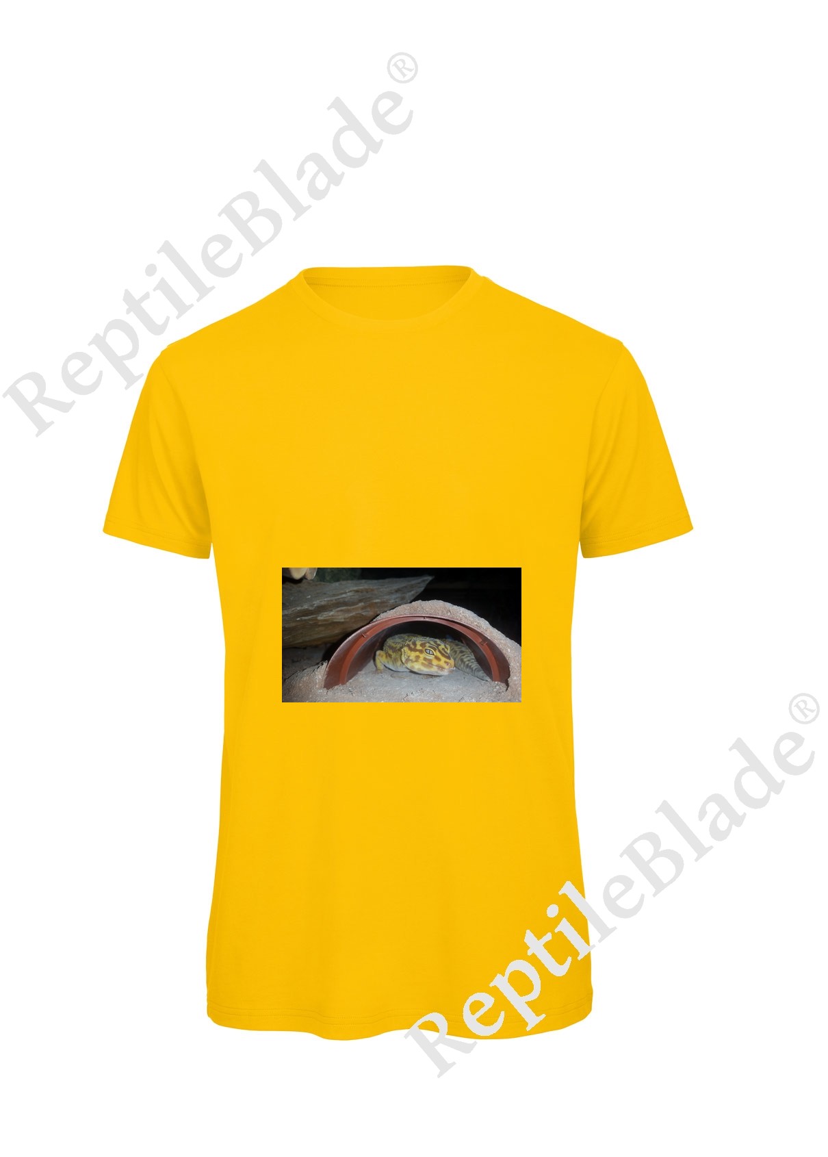 Miniature T-shirt homme "Lilo tortues"