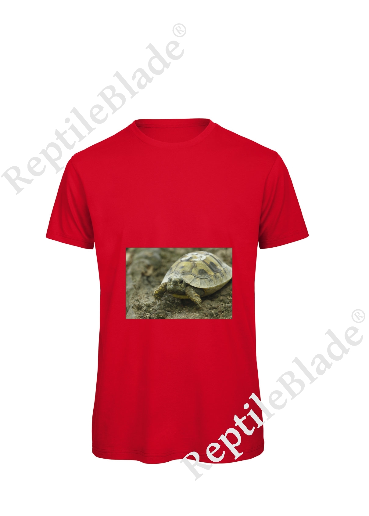Miniature T-shirt homme "Lilo tortues"