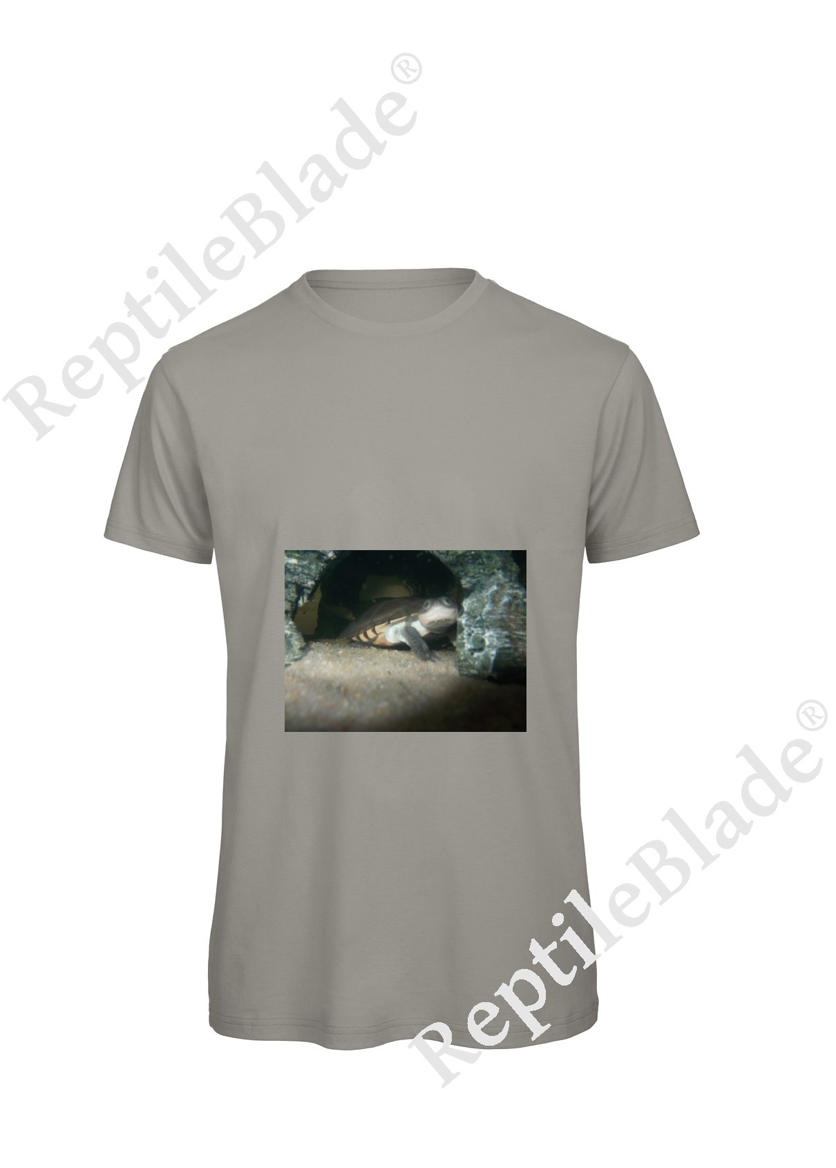 Miniature T-shirt homme "Lilo tortues"