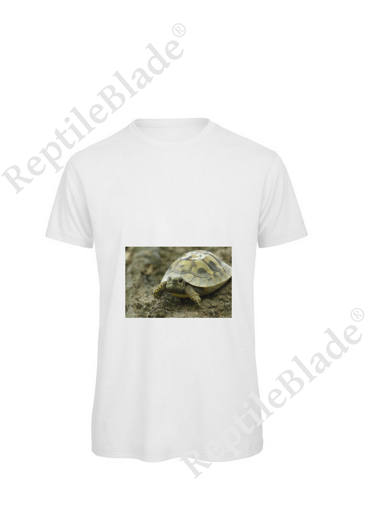 Miniature T-shirt homme "Lilo tortues"