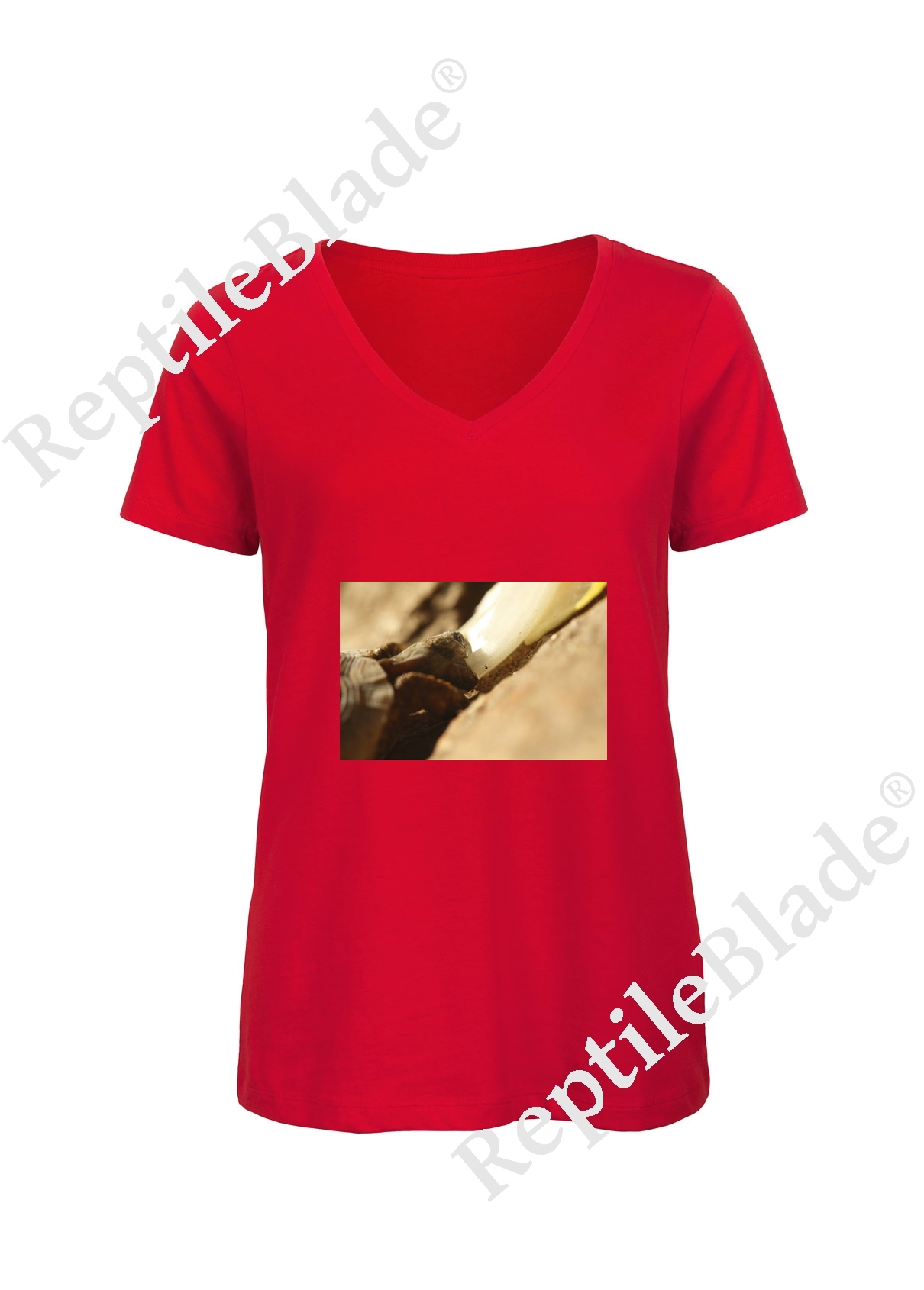 Miniature T-shirt femme col v "Lilo tortues"