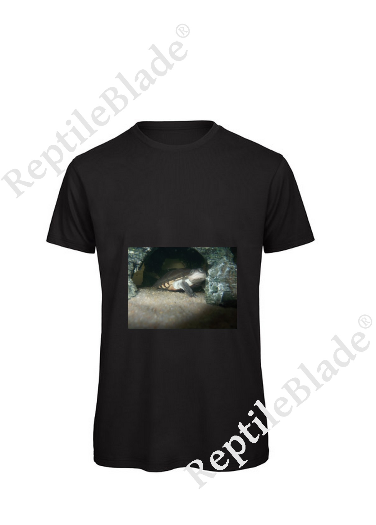 Miniature T-shirt homme "Lilo tortues"
