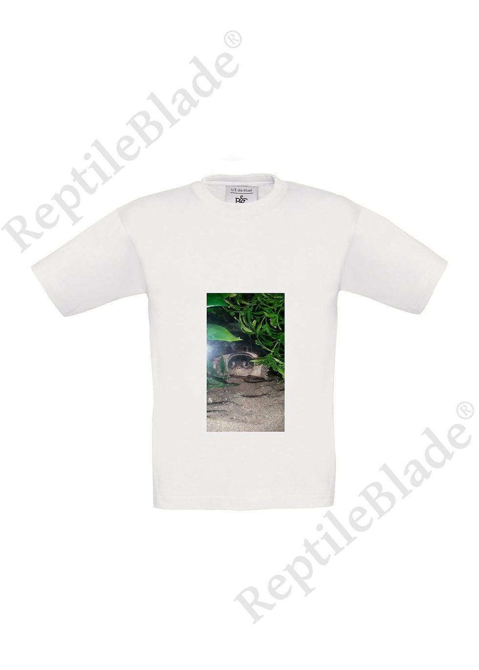 الصورة المصغرة: T-shirt enfant "Lilo tortues"