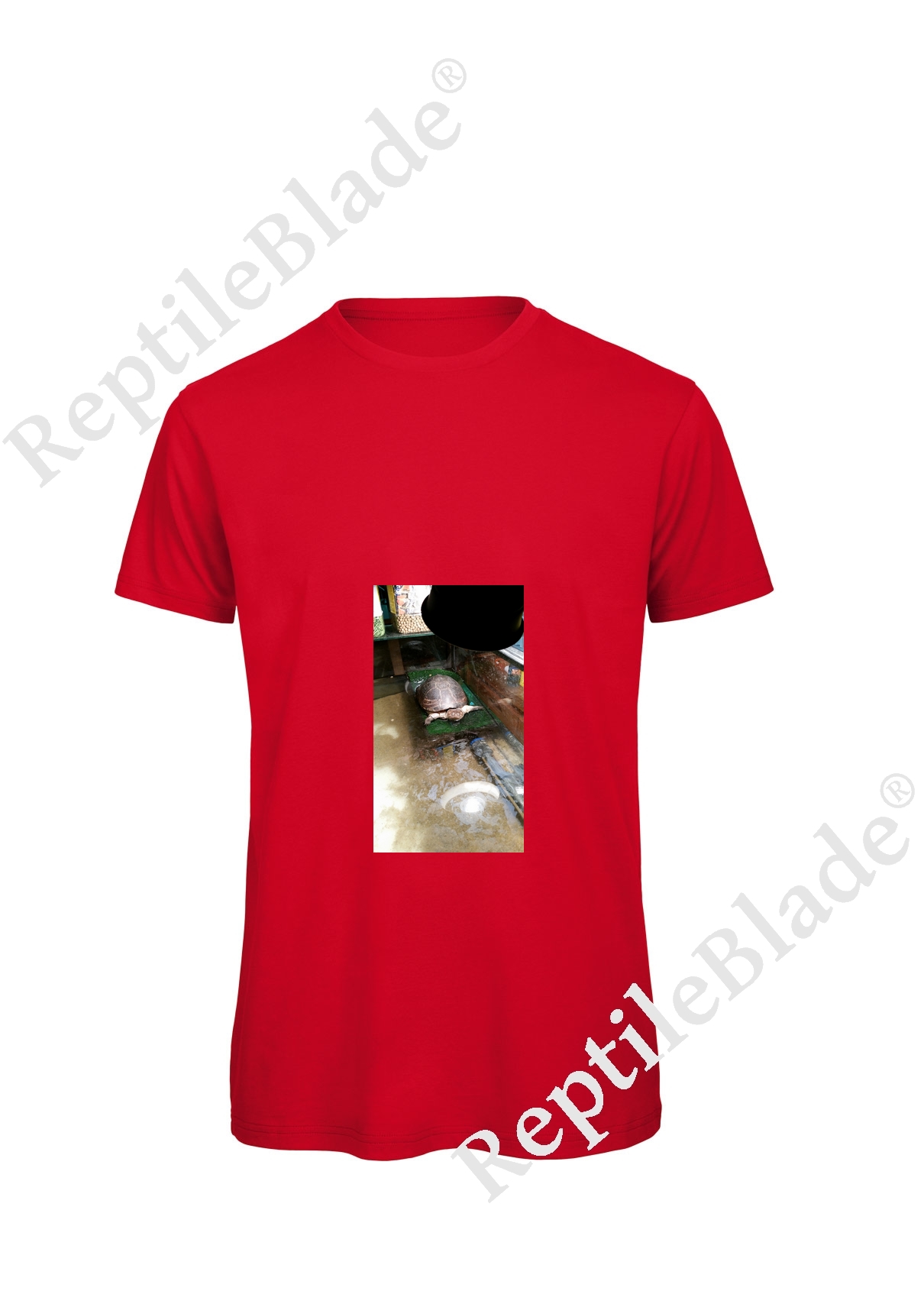 Miniature T-shirt homme "Lilo tortues"