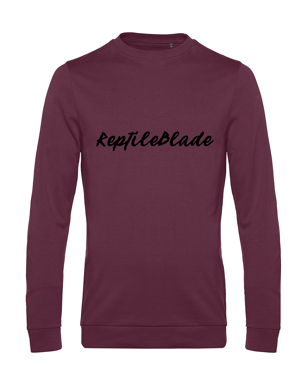 Thumbnail: Sweat-shirt homme "ReptileBlade"