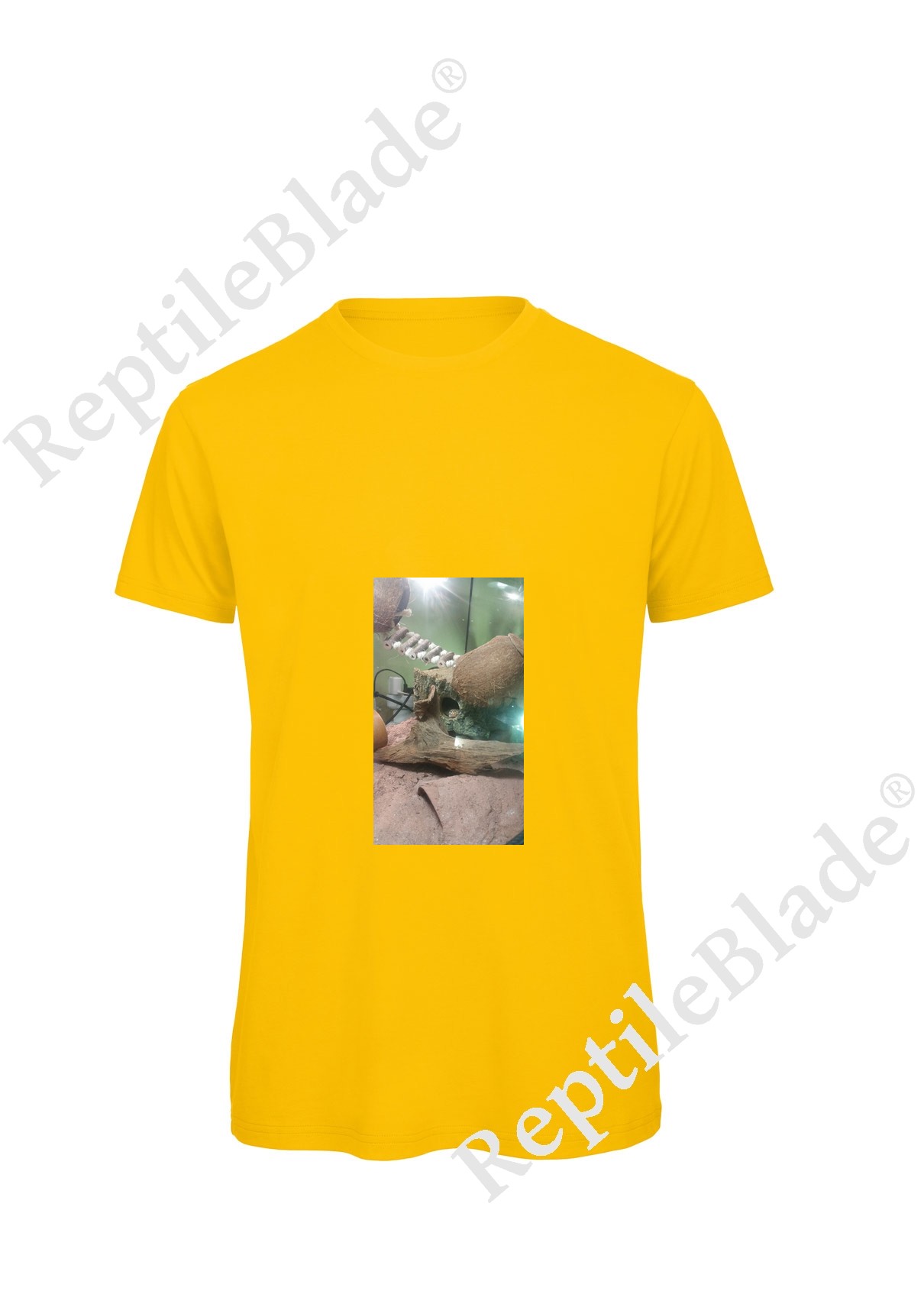 Miniature T-shirt homme "Lilo tortues"