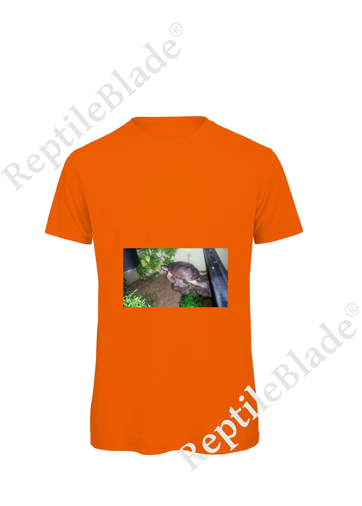Miniature T-shirt homme "Lilo tortues"