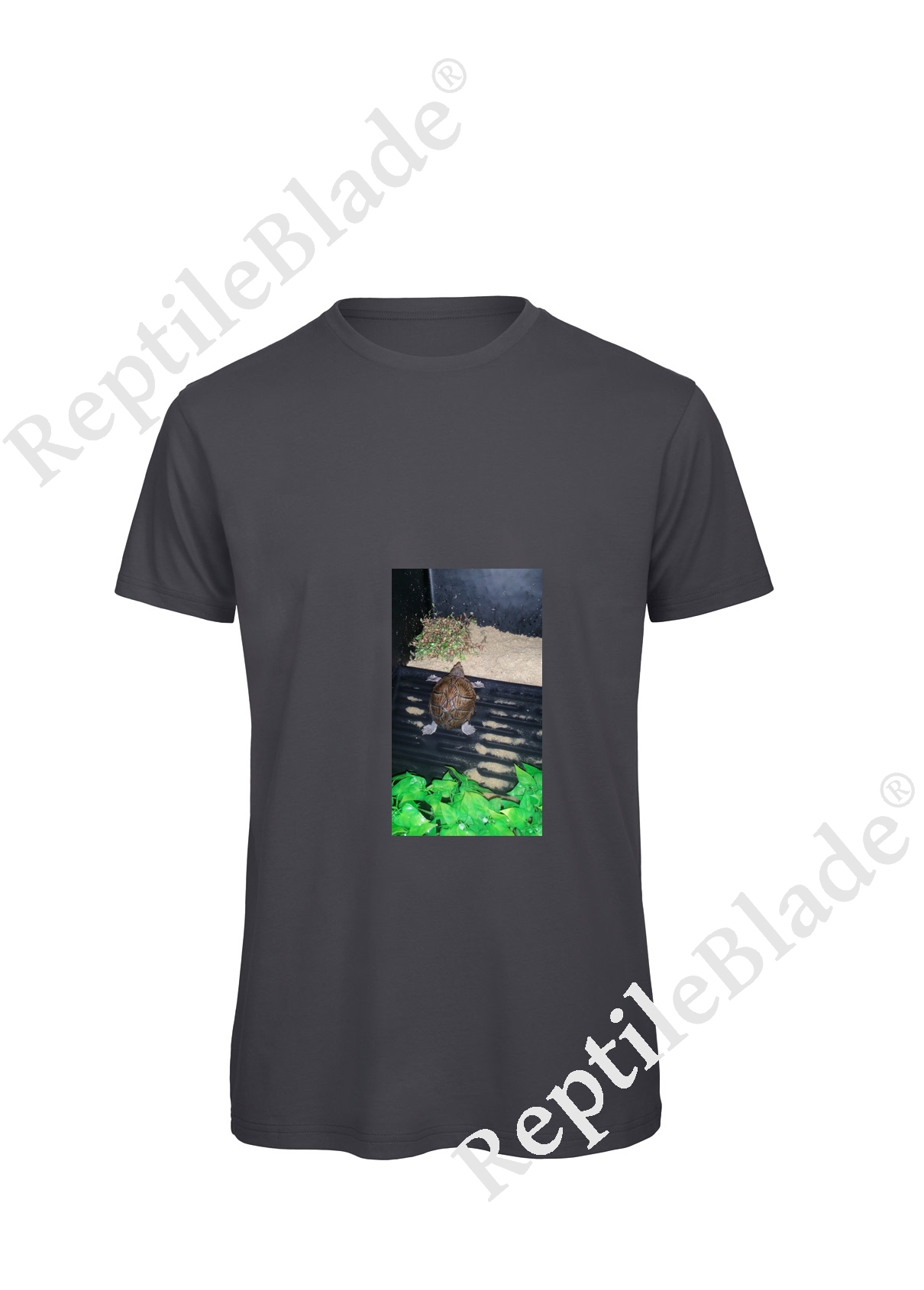 Miniature T-shirt homme "Lilo tortues"