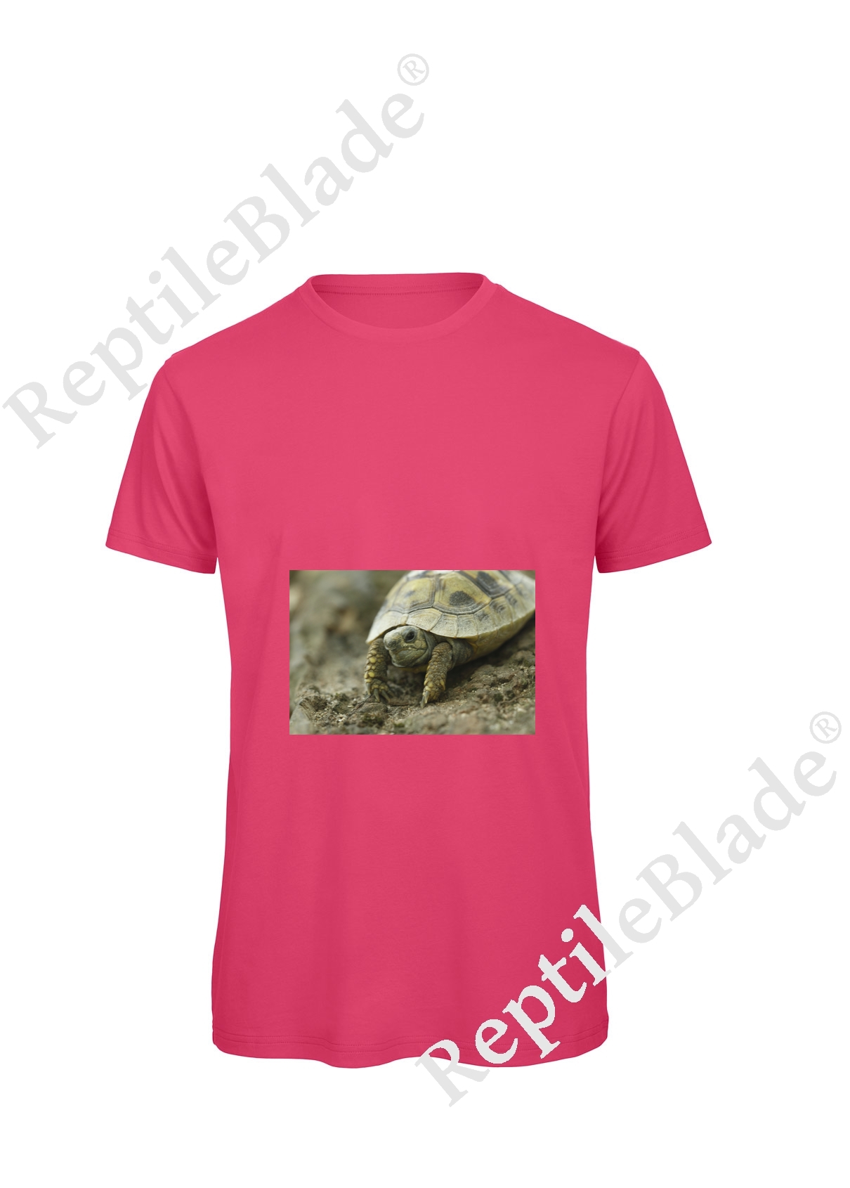 Miniature T-shirt homme "Lilo Tortues"