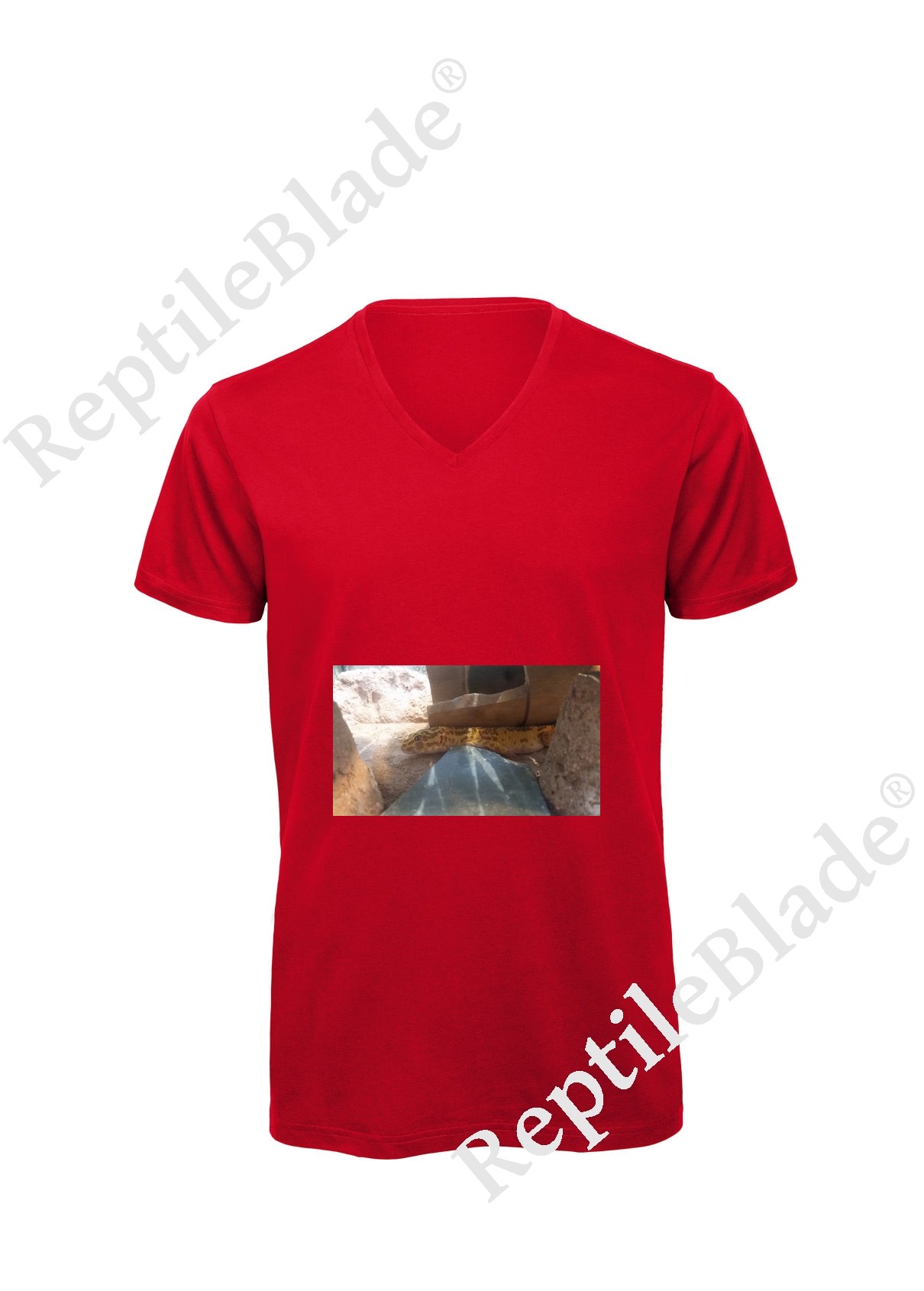 Miniature T-shirt homme col v "Lilo tortues"