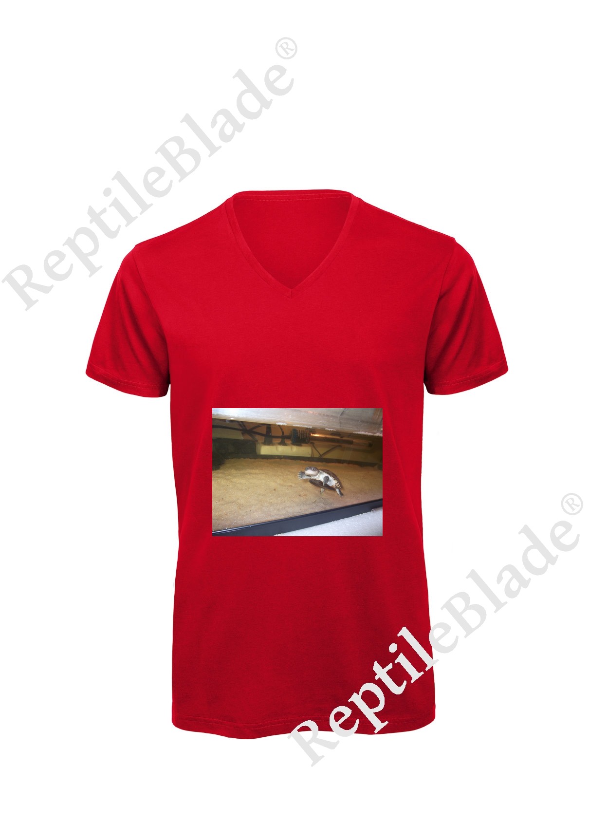 Miniature T-shirt homme col v "Lilo tortues"