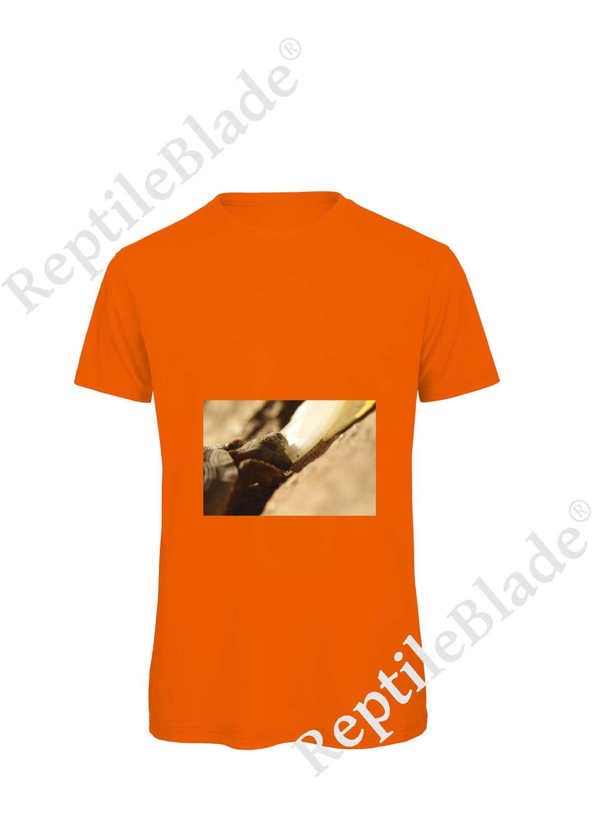 Miniature T-shirt homme "Lilo tortues"