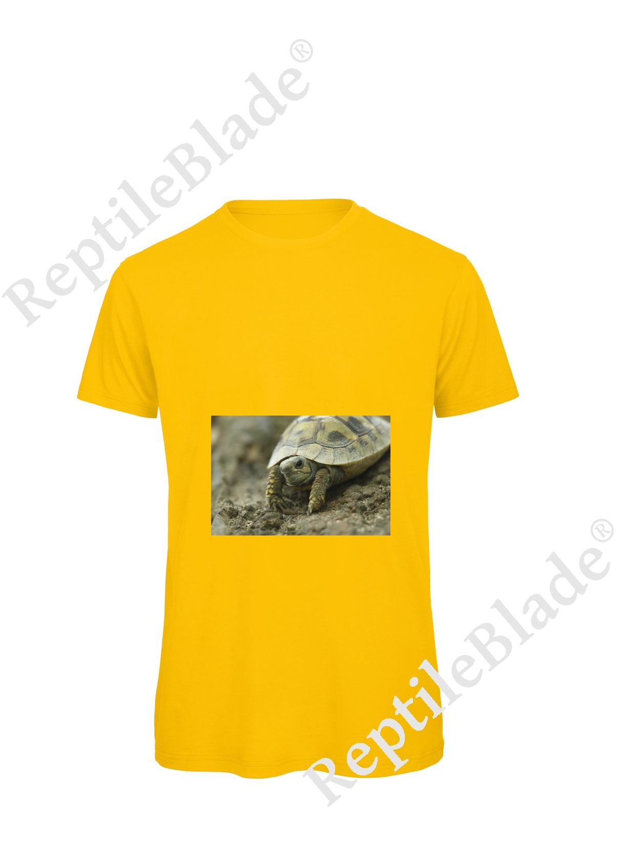 Miniature T-shirt homme "Lilo Tortues"