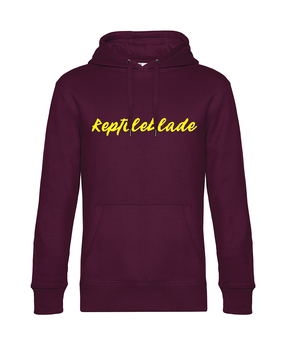 Thumbnail: Sweat-shirt à capuche homme "ReptileBlade"