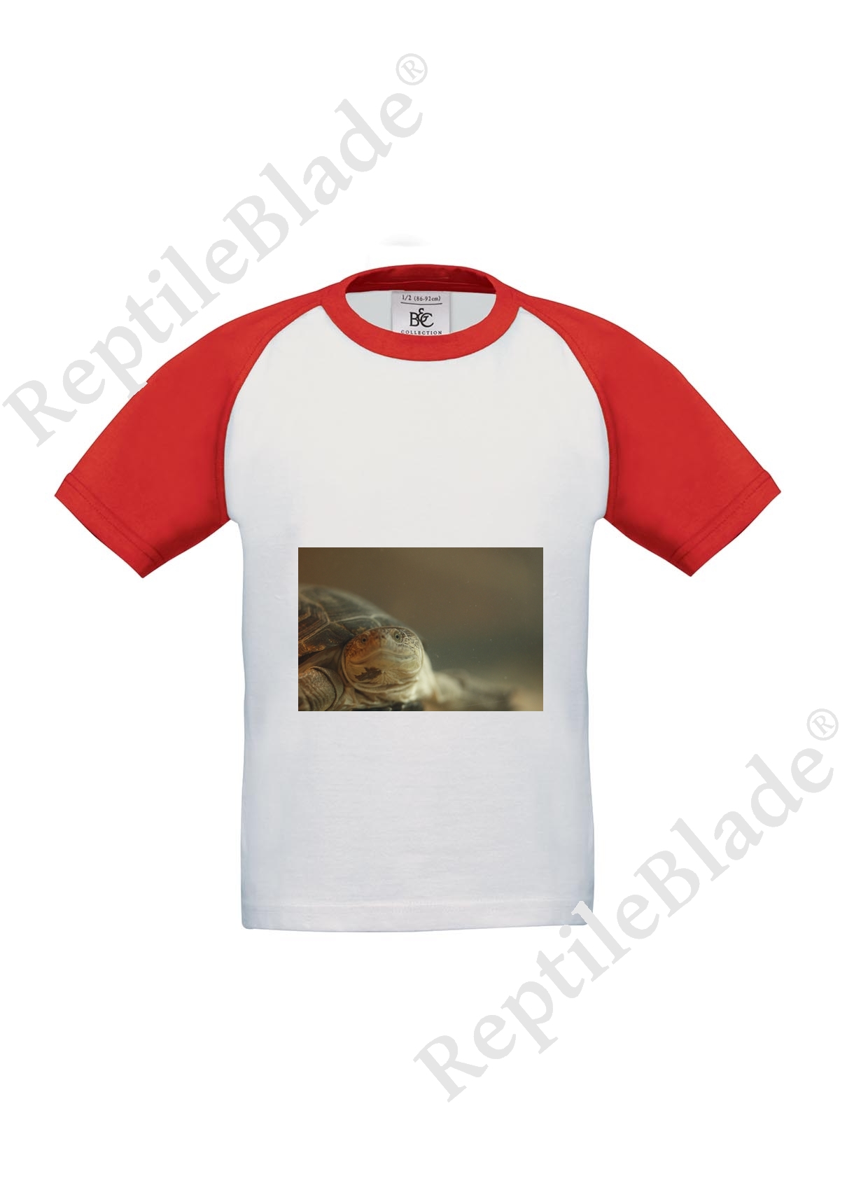 T-shirt enfant "Lilo tortues"