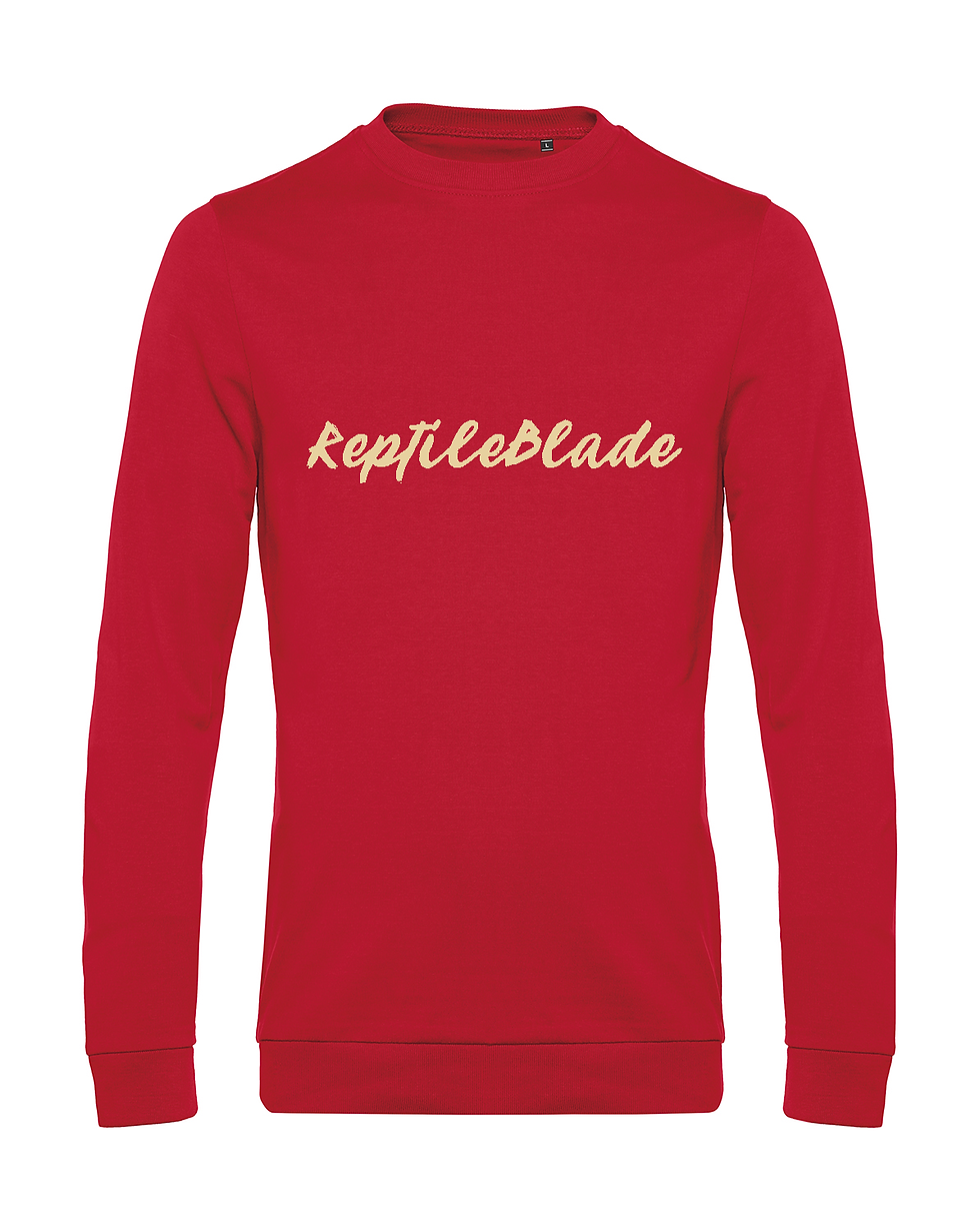 Thumbnail: Sweat-shirt homme "ReptileBlade"