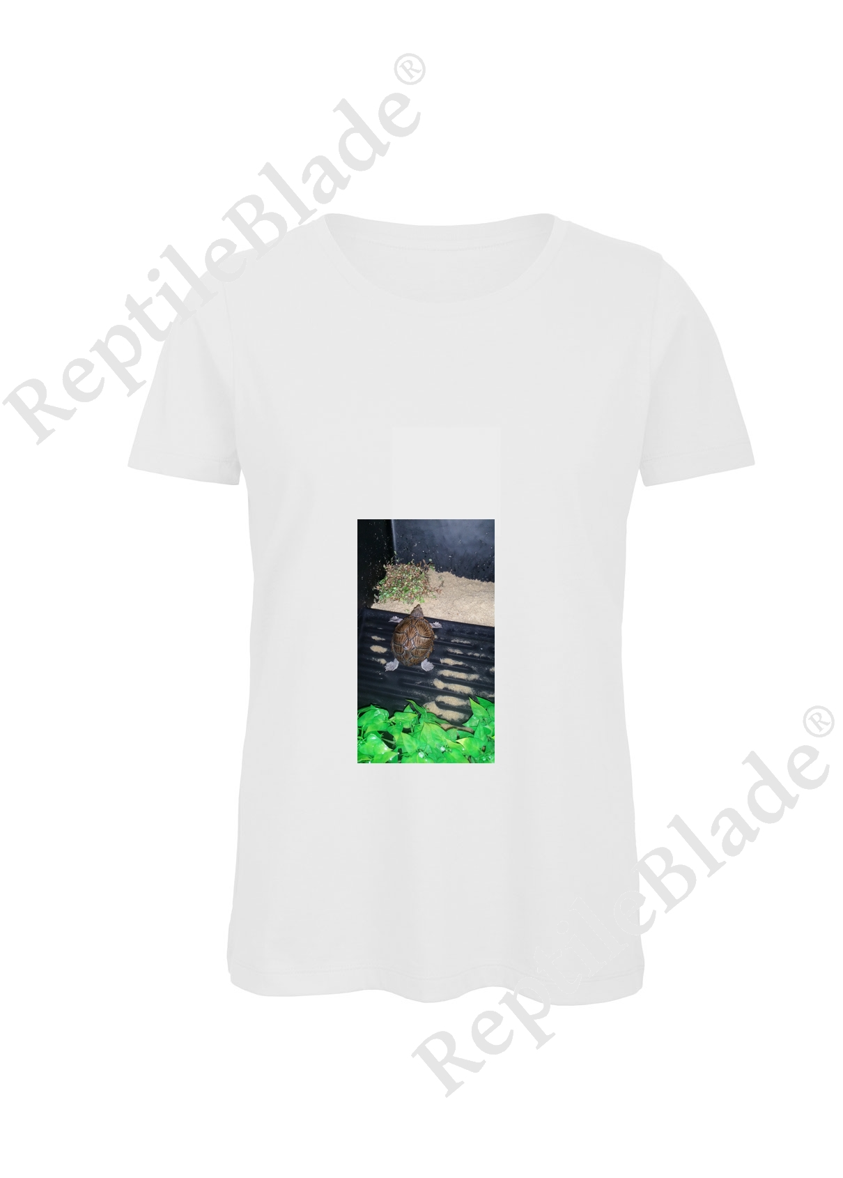 Miniature T-shirt femme "Lilo tortues"