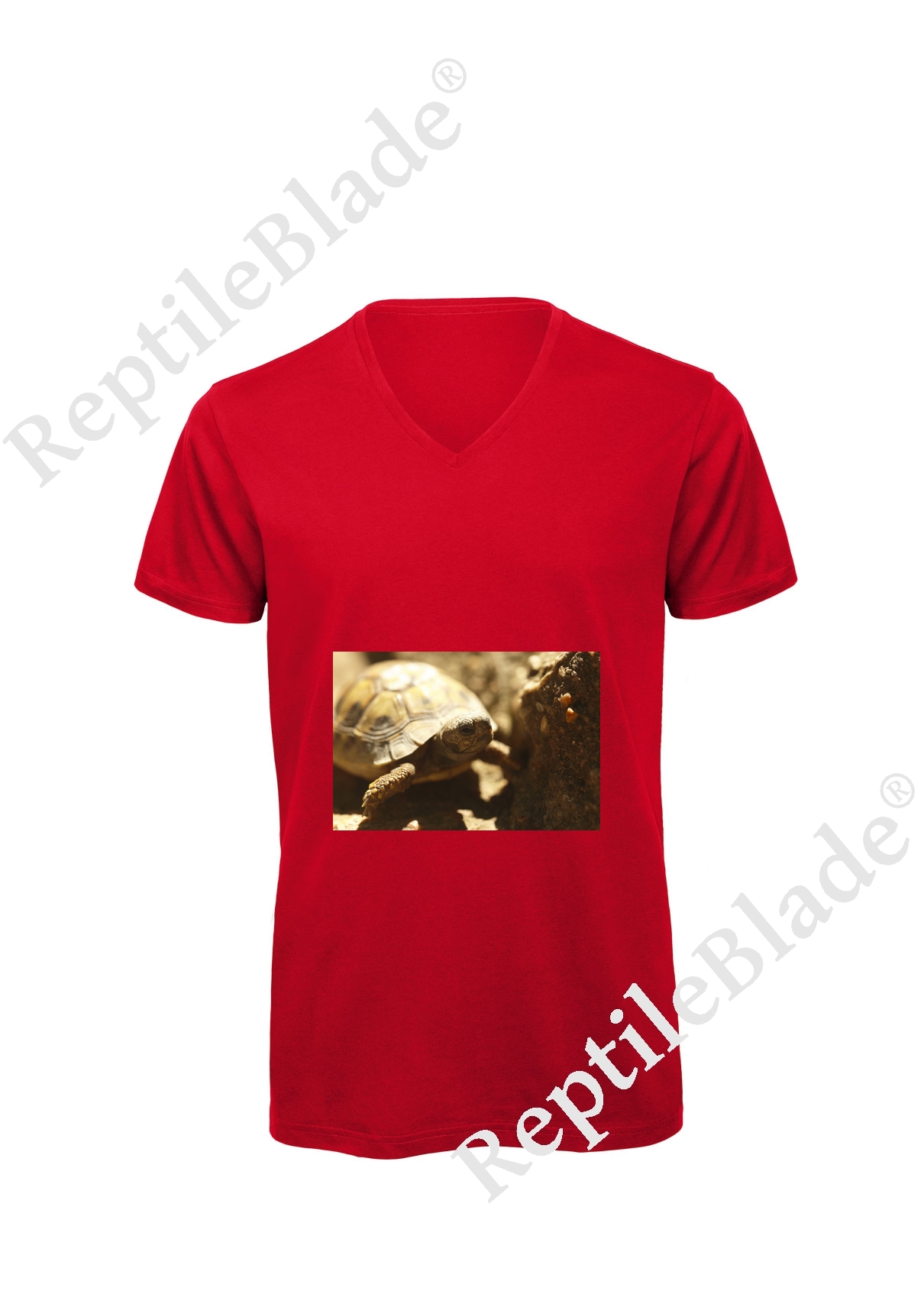 Miniature T-shirt homme col v "Lilo tortues"